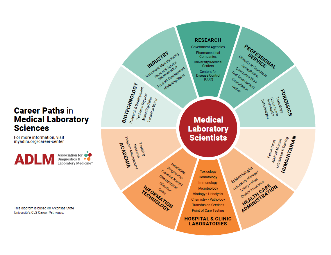 Screenshot 2025-12-11 091633